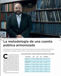 Asesor Gubernamental